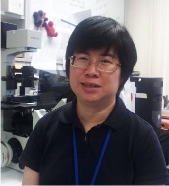 Dr Gan Shu Uin (PhD) - Senior Research Fellow